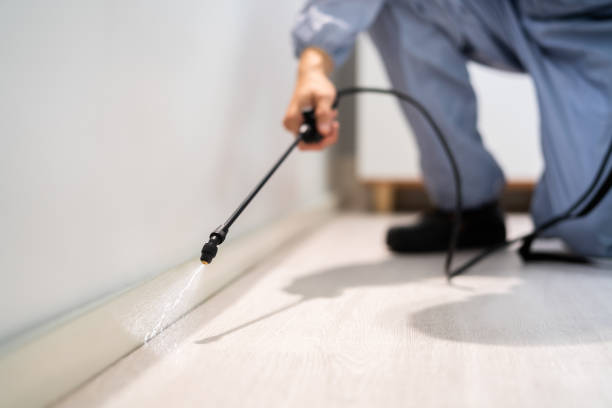 Licensed Cockroach Control service in Goulding, FL - Nex Pest Control
