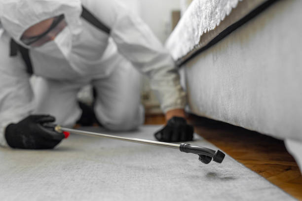 Professional Cockroach Control technician working in Goulding, FL