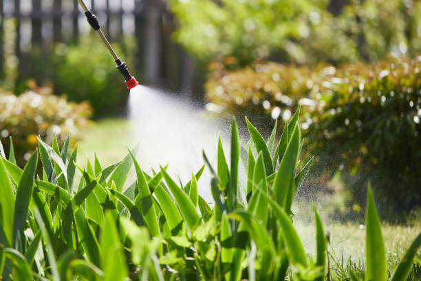 24/7 Emergency Cockroach Control experts in Goulding, FL