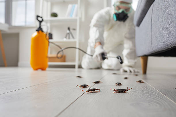 Affordable Cockroach Control solutions in Goulding, FL