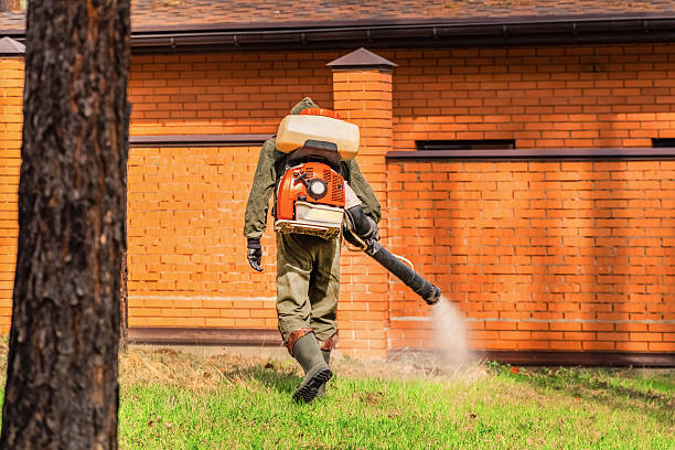 Top rated local Cockroach Control specialists in Goulding, FL